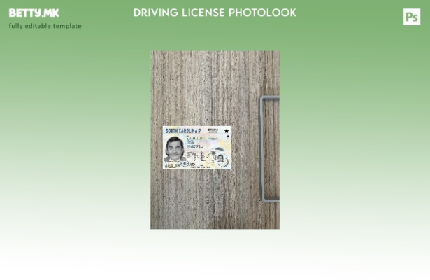 модерен стил на САД за возачка дозвола од Јужна Каролина претставува преден шабл